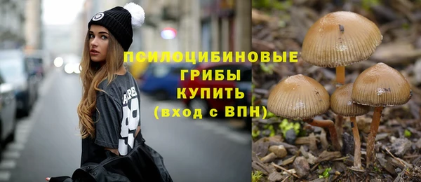 каннабис Арсеньев