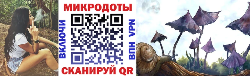 Псилоцибиновые грибы прущие грибы  Фокино 