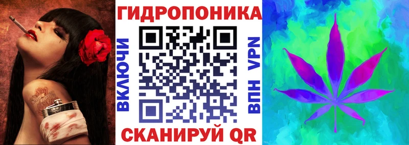 Канабис OG Kush купить kraken рабочий сайт Фокино